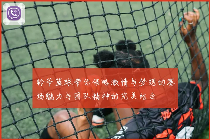 铃爷篮球带你领略激情与梦想的赛场魅力与团队精神的完美结合