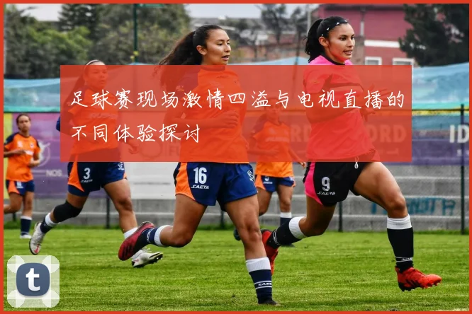 足球赛现场激情四溢与电视直播的不同体验探讨