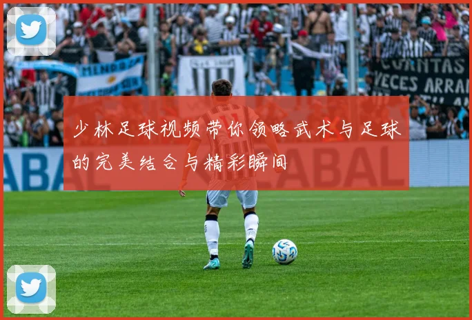 少林足球视频带你领略武术与足球的完美结合与精彩瞬间
