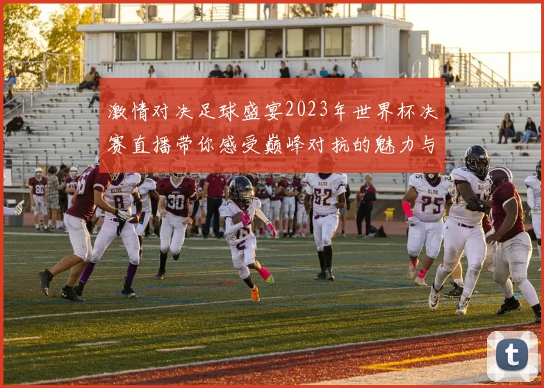 激情对决足球盛宴2023年世界杯决赛直播带你感受巅峰对抗的魅力与精彩