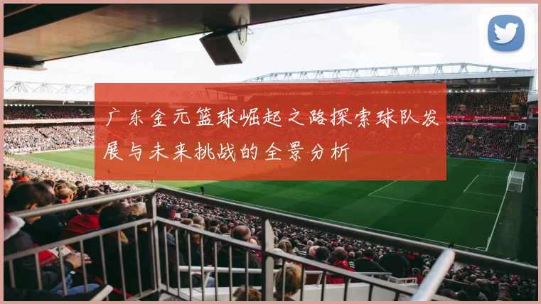 广东金元篮球崛起之路探索球队发展与未来挑战的全景分析